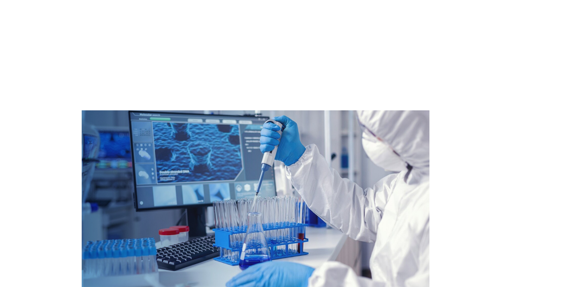 睾丸类器官平台及生物库